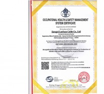 职业健康安全管理体系证书英文版